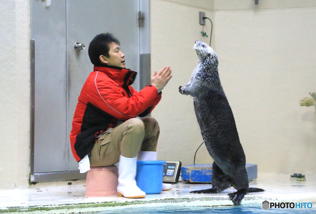 怒るラッコさん＆謝る飼育員さん(笑）