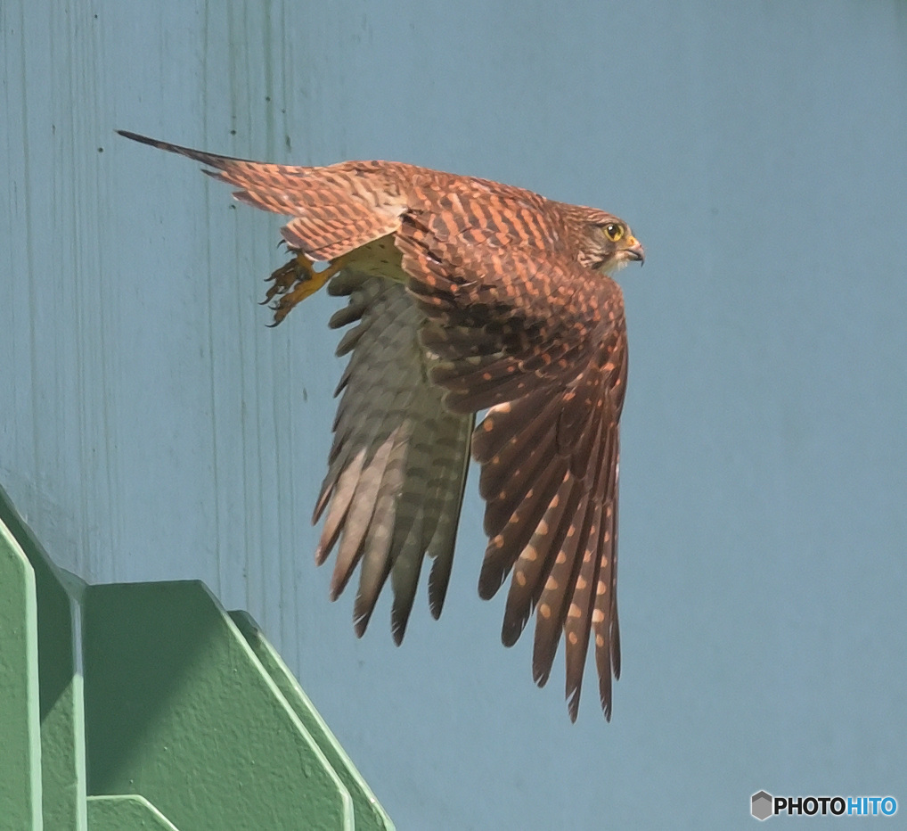 Take off！②