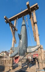 もうすぐお別れジョーズ