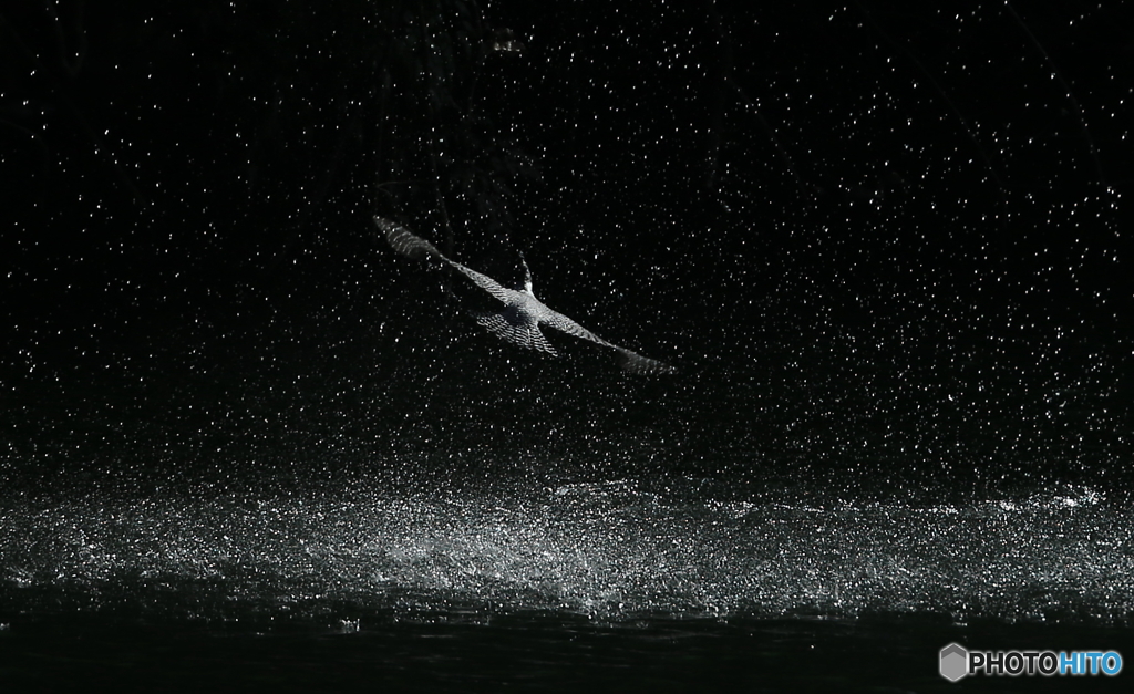 スプラッシュ！(20151228）