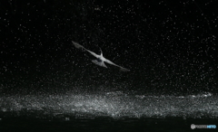 スプラッシュ!(20151228) スプラッシュ!(20151228)