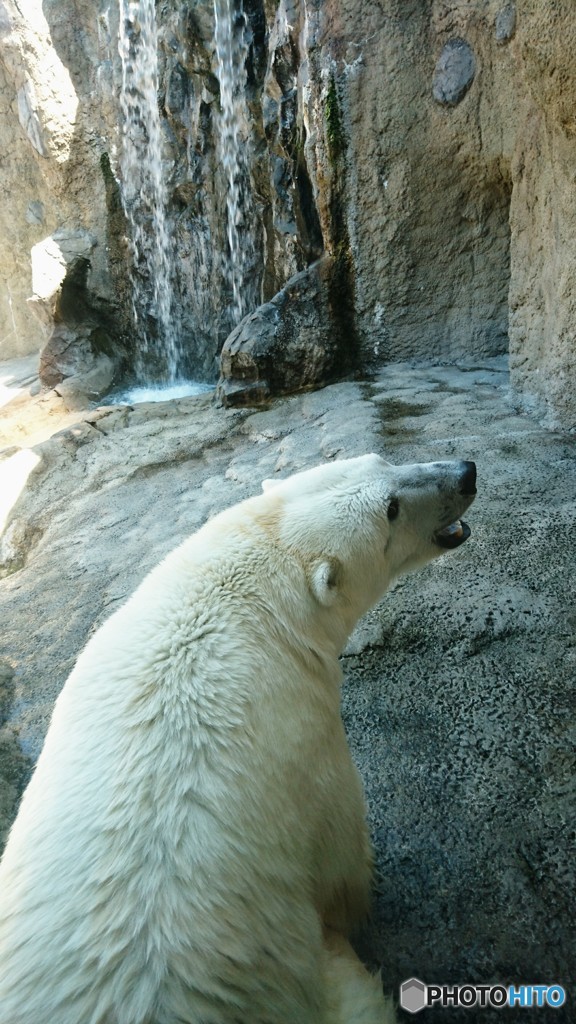 今日も暑いねⅡ