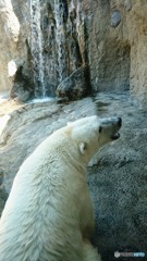 今日も暑いねⅡ