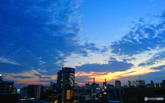 夕焼け②