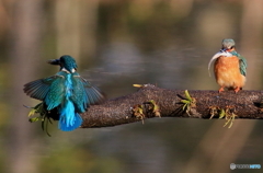 それぞれの食事