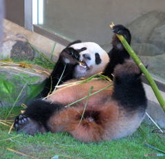 食事のマナーは自由に(^_^;)