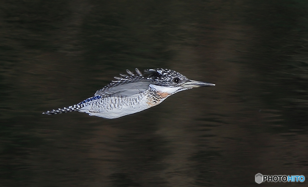 本日のローパスⅡ(20161126）