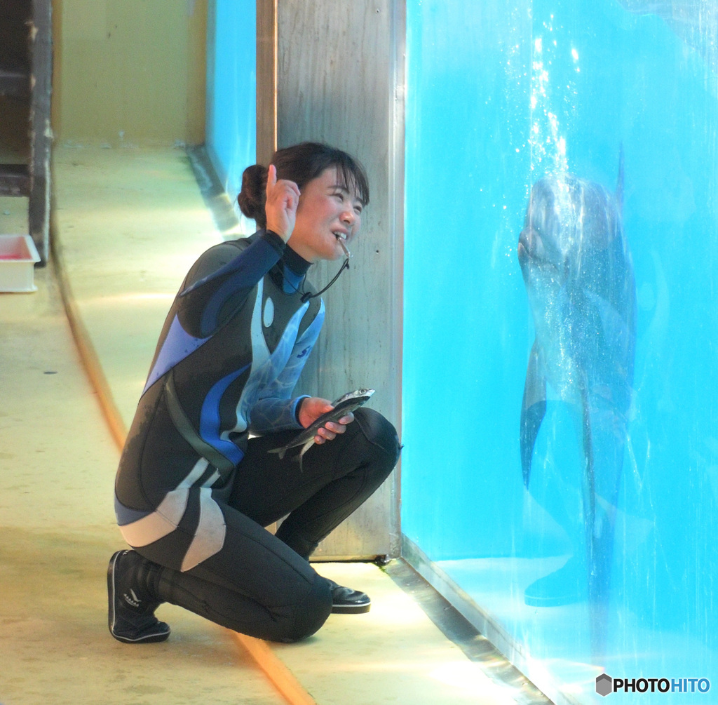 イルカとお姉さん②