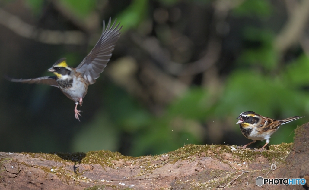 「コラッ！」「わあ(@_@)」