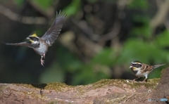 「コラッ！」「わあ(@_@)」
