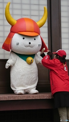 ひこにゃん、メンテナンス中