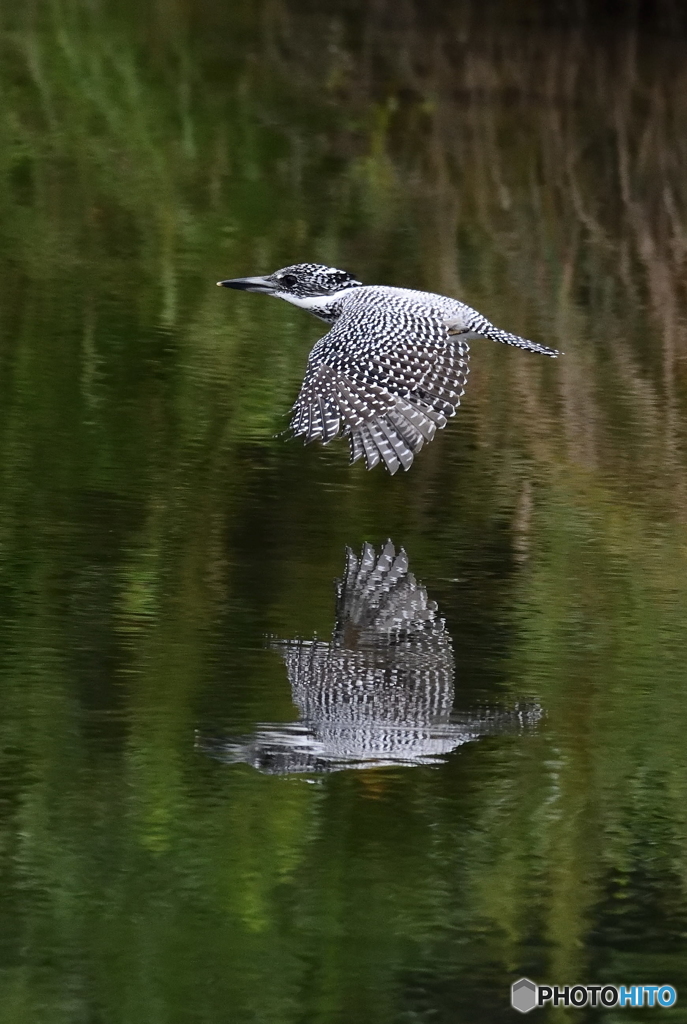 本日の水鏡(20170917)