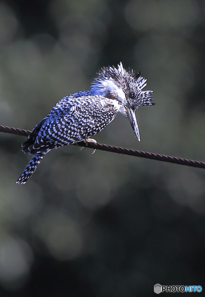 お魚居るかな～？