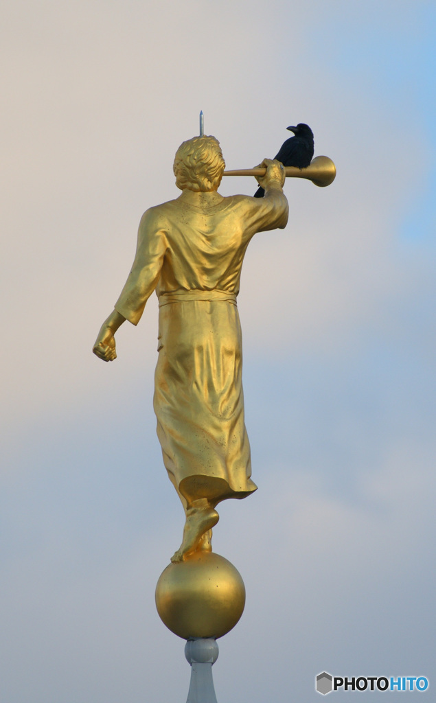 カラスの休憩所