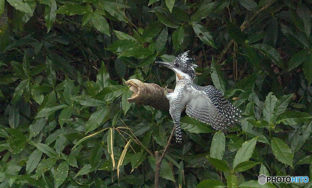 タッチダウン！
