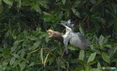 タッチダウン！