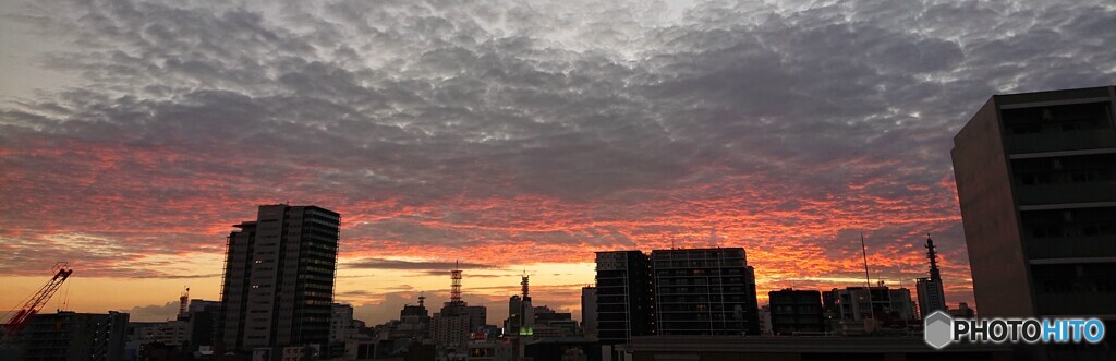 本日の夕焼け