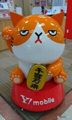 招き猫かはたまたマネー喜ネコか？(^_^;)