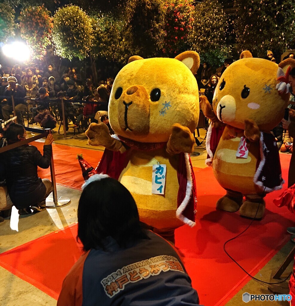 クリスマス・グリーティング