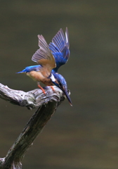 さあ行くよ！Ⅱ