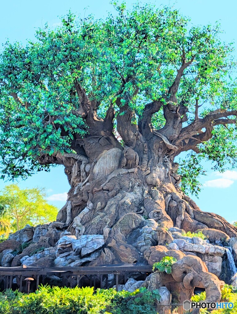 Symbol　of　AnimalKingdom