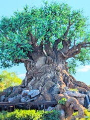 Symbol　of　AnimalKingdom