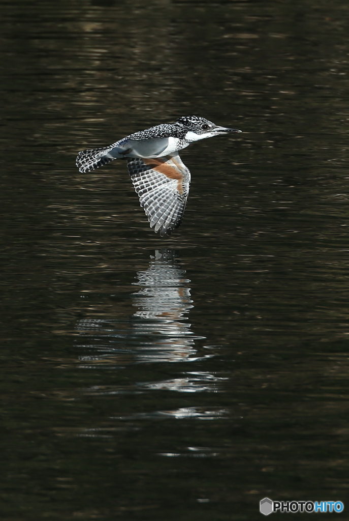 本日の水鏡(20160312）
