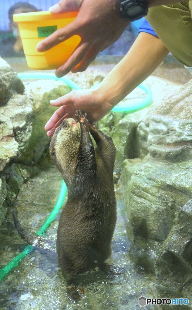 もっとくださいな