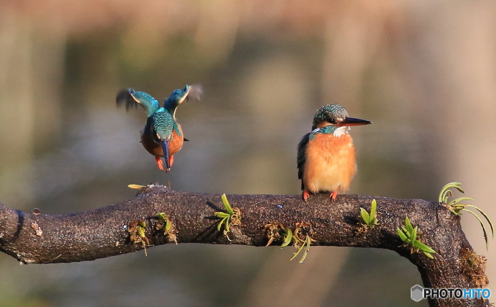 久しぶりのツーショット