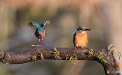 久しぶりのツーショット