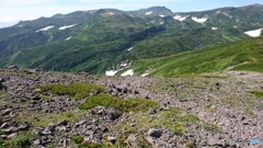黒岳から大雪山山系を望む