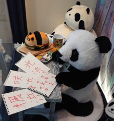 どの名前にしようかなあ…