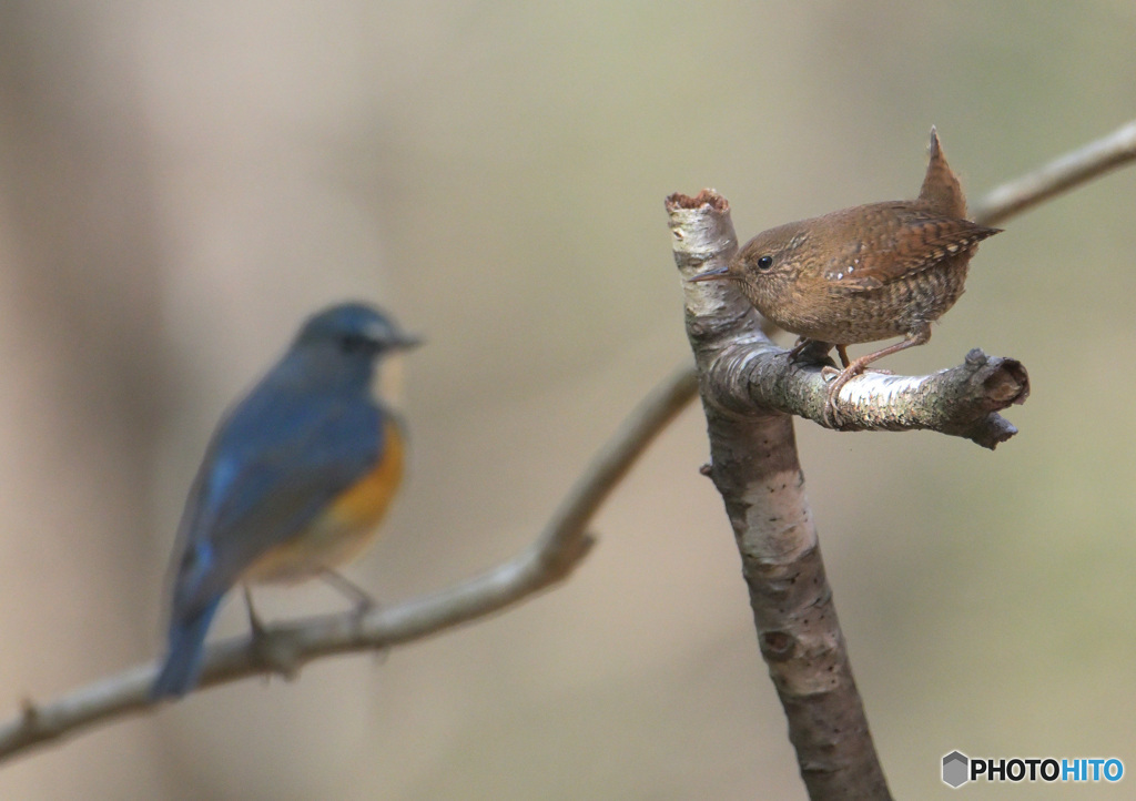 冬のツーショット