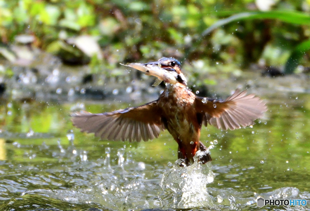 ナイスポーズ！