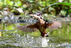 ナイスポーズ！