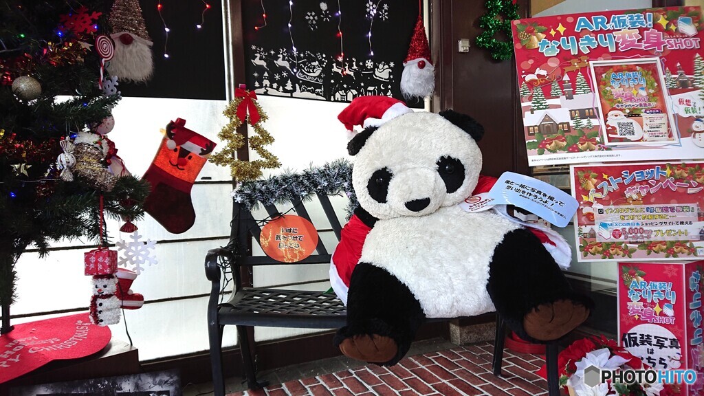 岸和田のパンダ