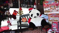岸和田のパンダ