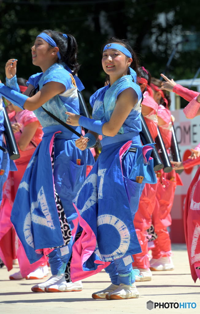 「第20回にっぽんど真ん中祭り」より⑲