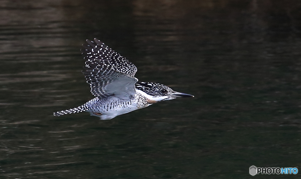 ぎゅーん (20170312）