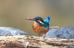 ナニかがピュン！(^_^;)