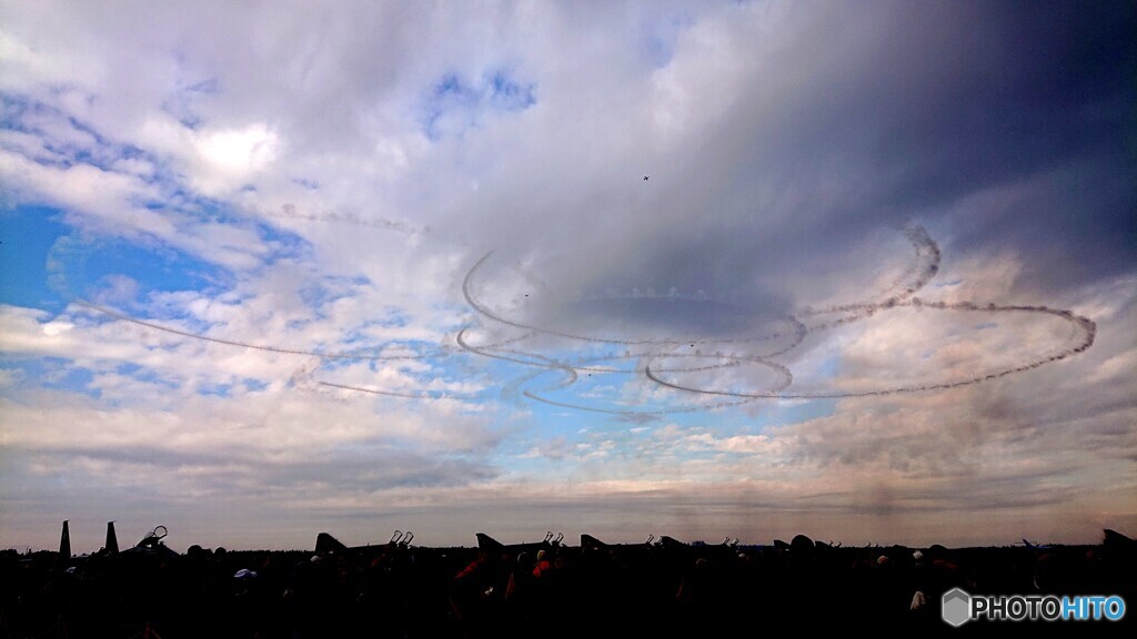 久しぶりのサクラ