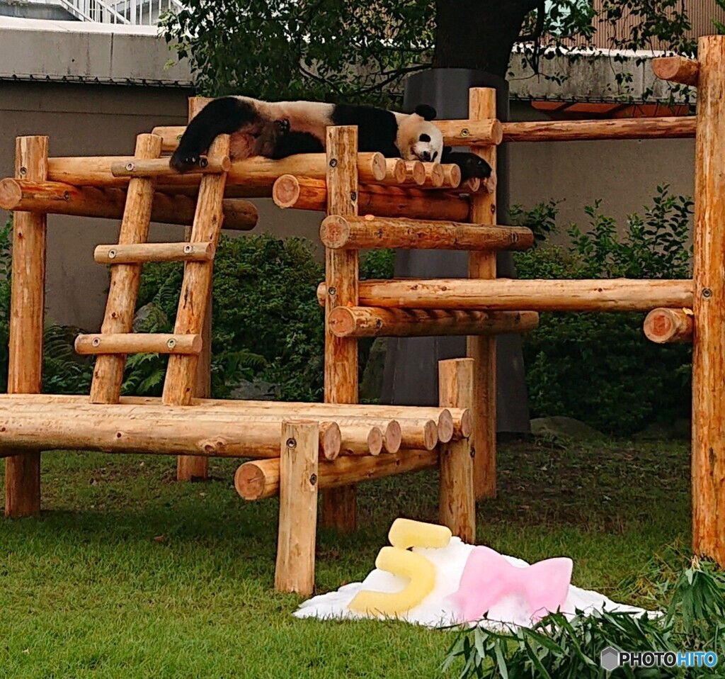 誕生日もマイペースで