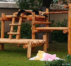 誕生日もマイペースで