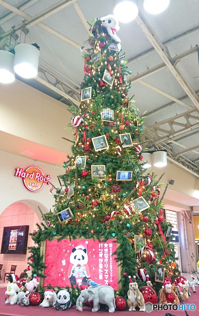 上野駅のクリスマスツリー