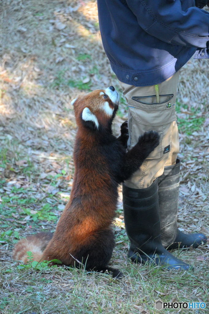 甘えん坊さん