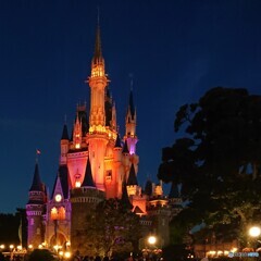 今夜のシンデレラ城