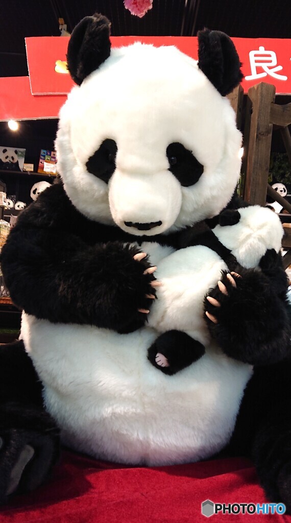 リアルなパンダ母子