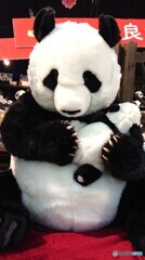 リアルなパンダ母子