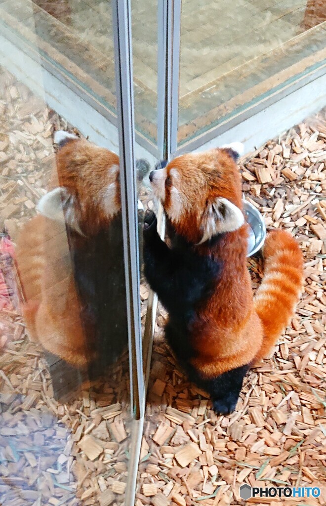 好奇心