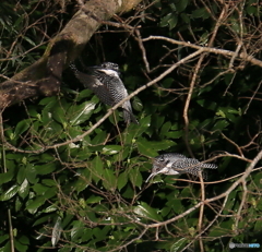 本日のツーショット(20160319）